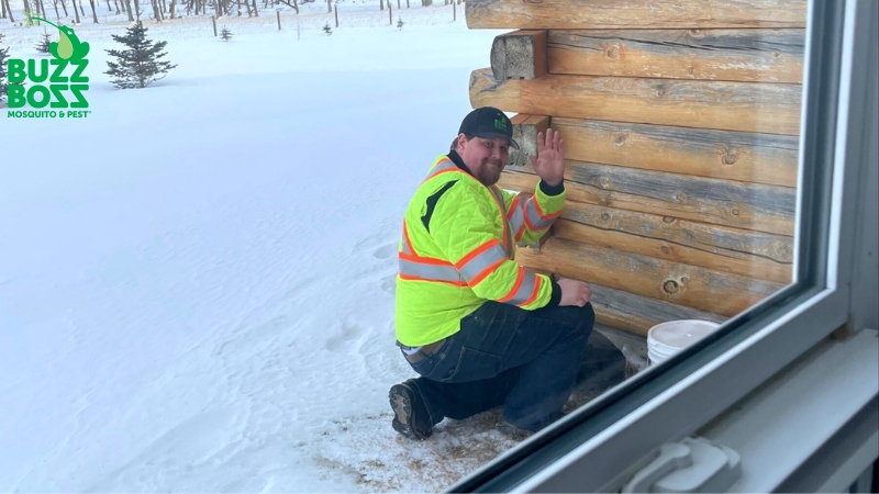 Buzz Boss employee sealing off entry points