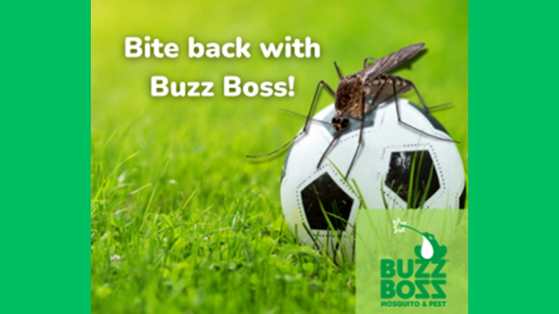 Mosquito on a football by Buzz Boss