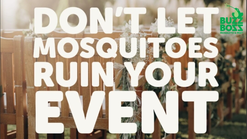 Mosquito protection poster by Buzz Boss