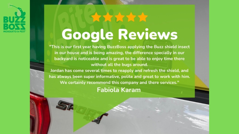 Buzz Boss service review by a customer