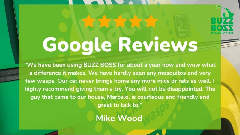 Review of Buzz Boss pest control services
