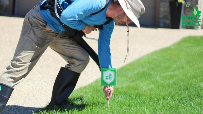 Buzz Boss employee putting a sign that the lawn has been treated for pests