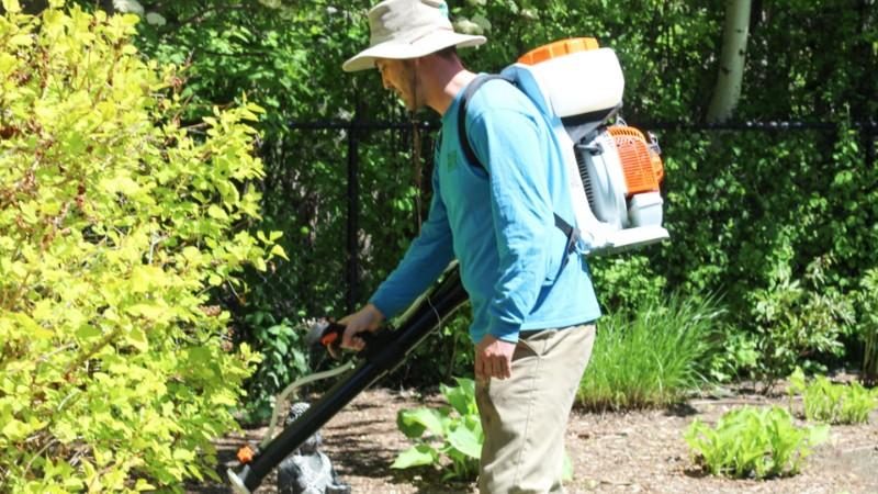 Buzz boss worker sprays the lawn against rodents