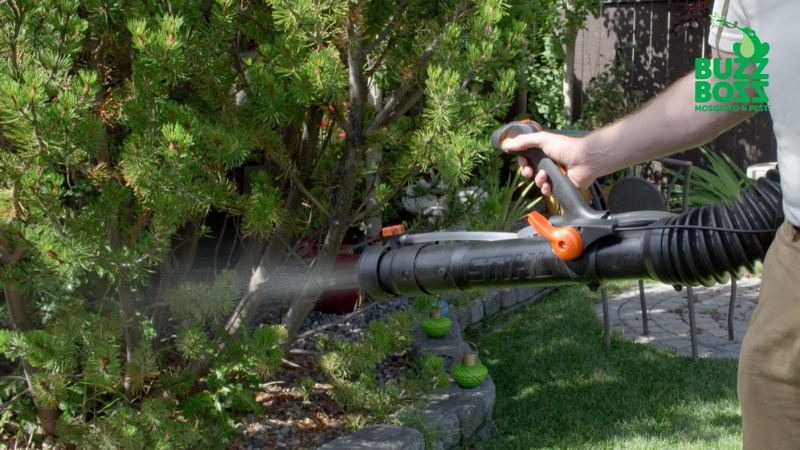 Buzz Boss worker spraying yard against pests