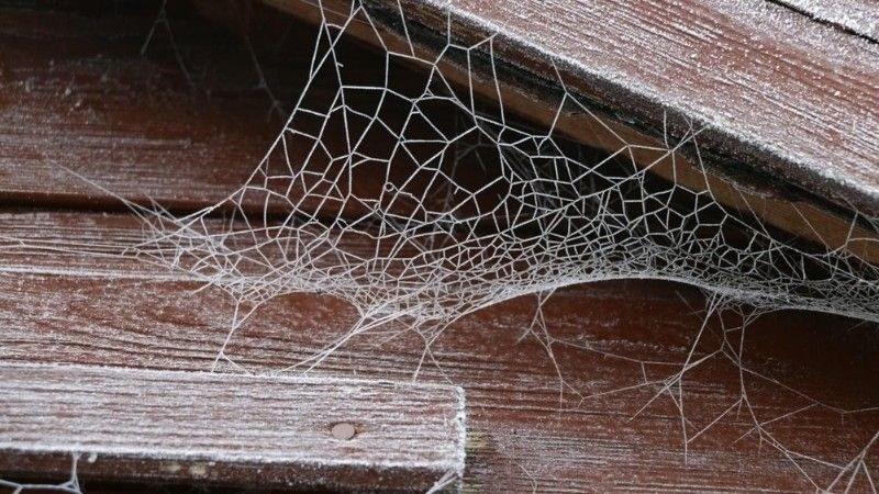 A close-up of a delicate spider web covered in frost, stretched across wooden planks.