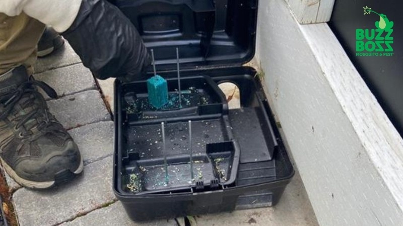 A person wearing gloves is placing a blue block of rodent bait into a black plastic bait station.